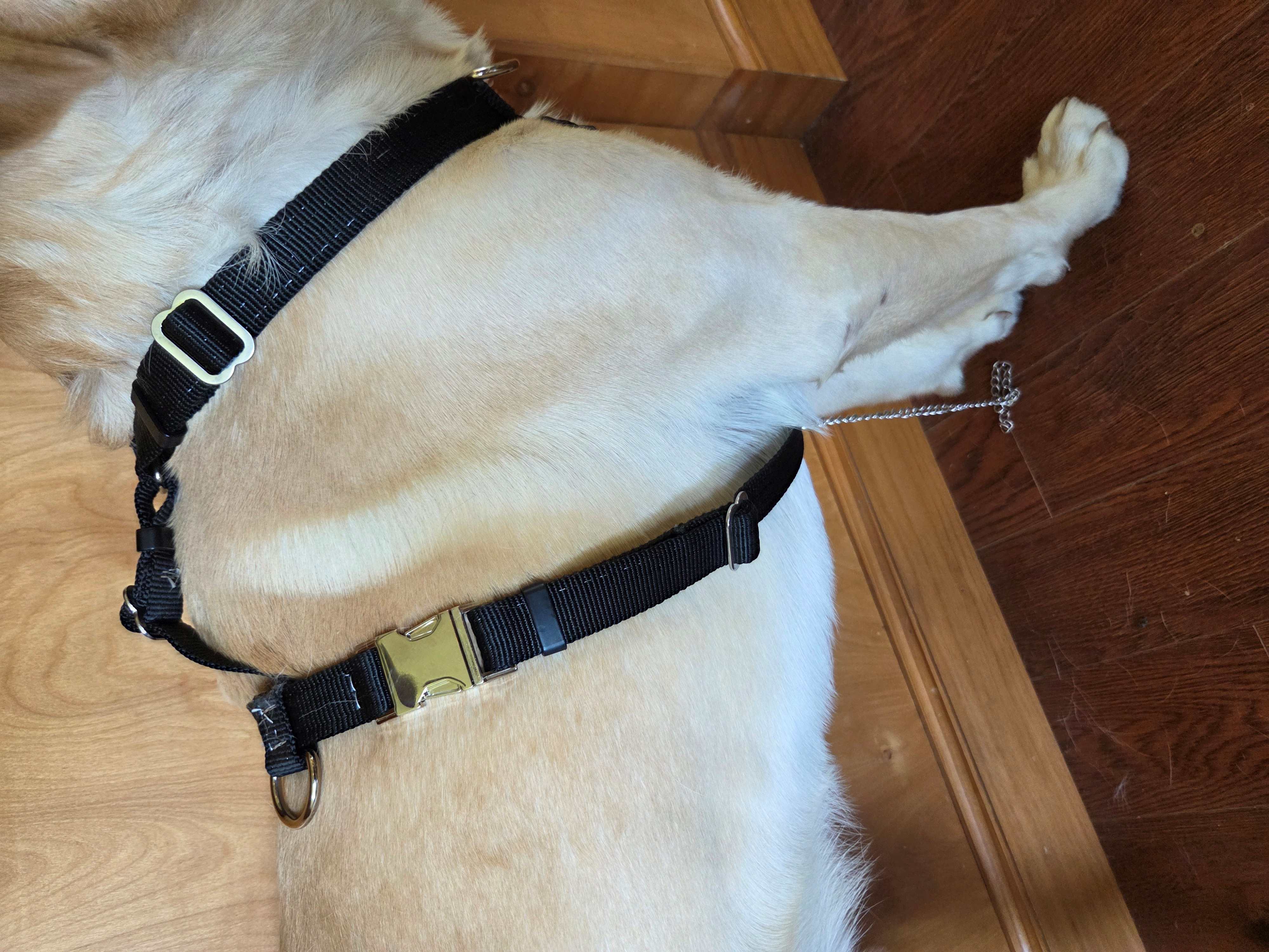 ESD harness side view — brass buckle detail